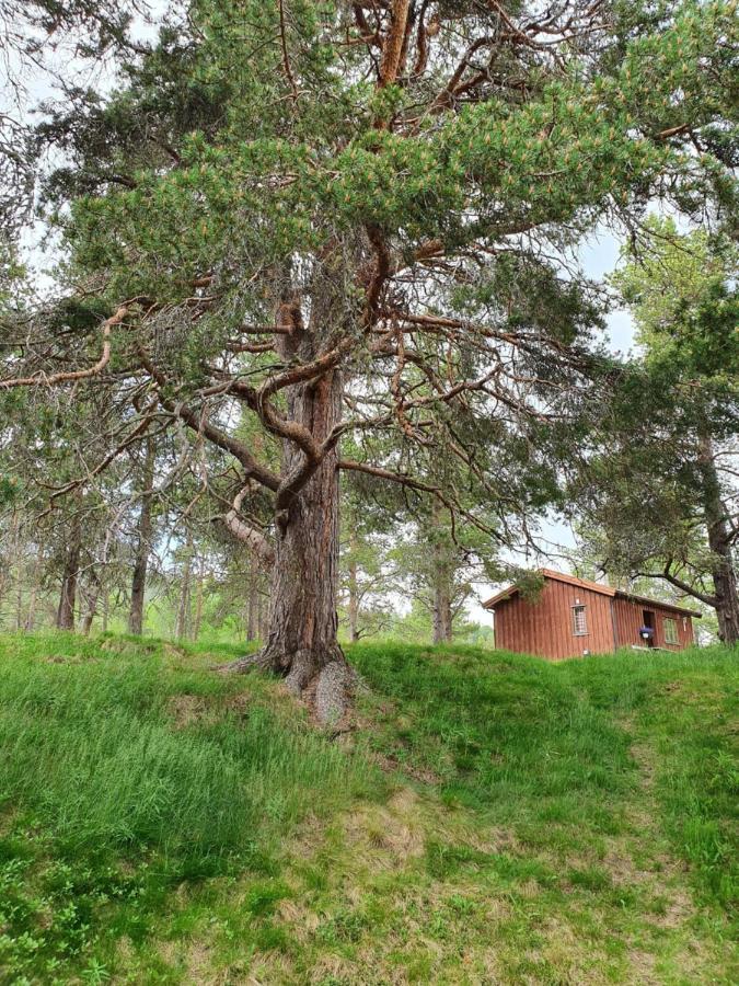 Borkhushyttene Villa Rundtom Exterior foto